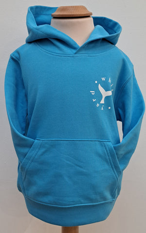 Childrens Saltburn Surfboard pullover hoodie in Aqua