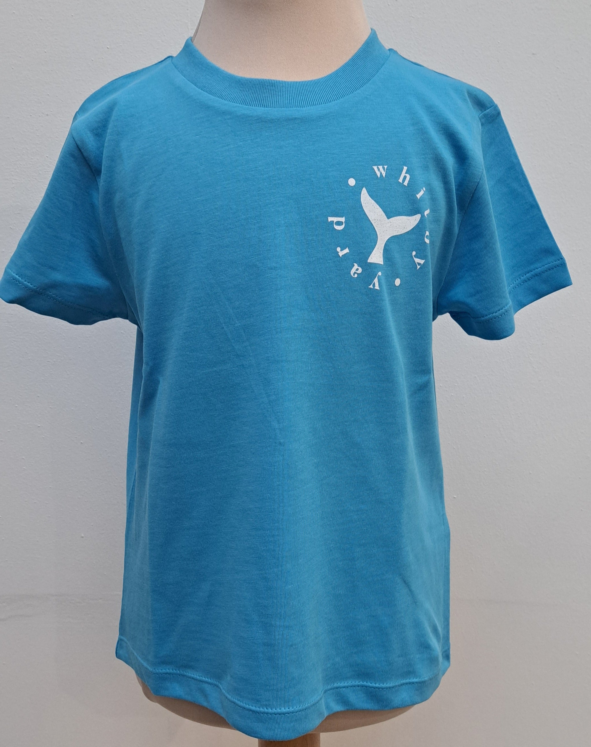 Childrens Saltburn Surfboard T Shirt in Aqua