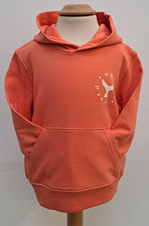 Childrens Saltburn Surfboard pullover hoodie in Fiesta