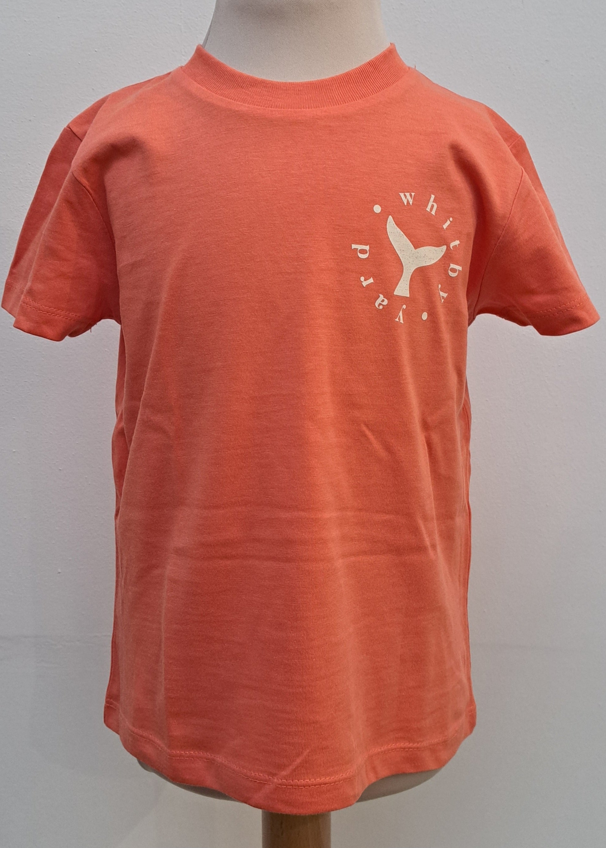 Childrens Saltburn Surfboard T Shirt in Fiesta