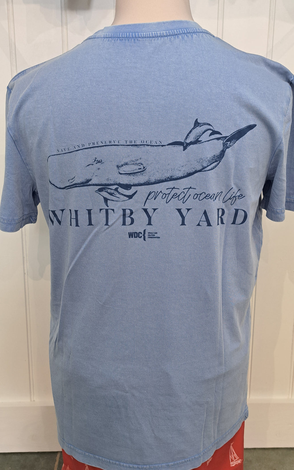 Unisex 'Whale & Dolphin Conservation’ T shirt in Swimmer Blue