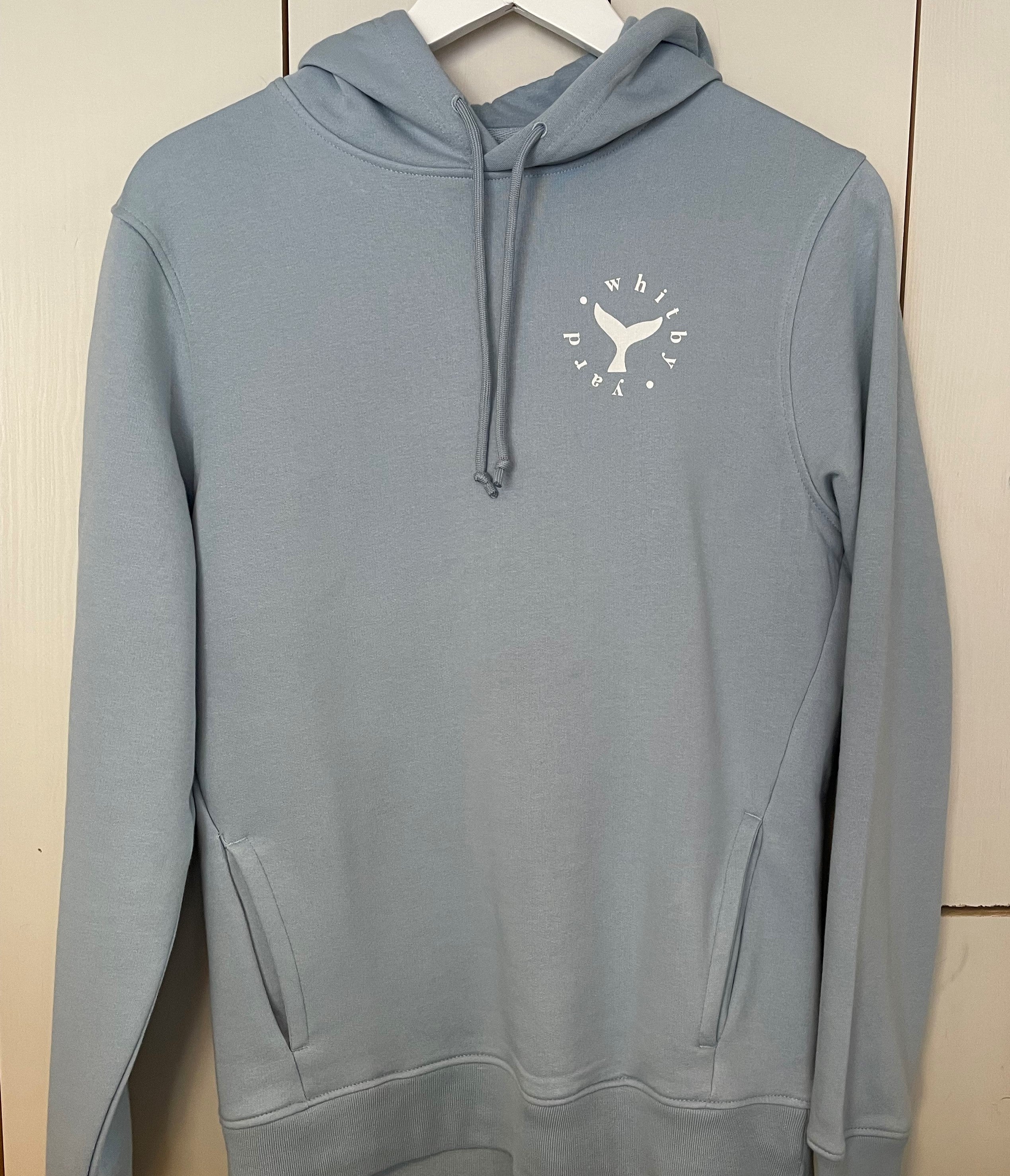 Unisex Saltburn Surfboard Hoodie in Sky Blue