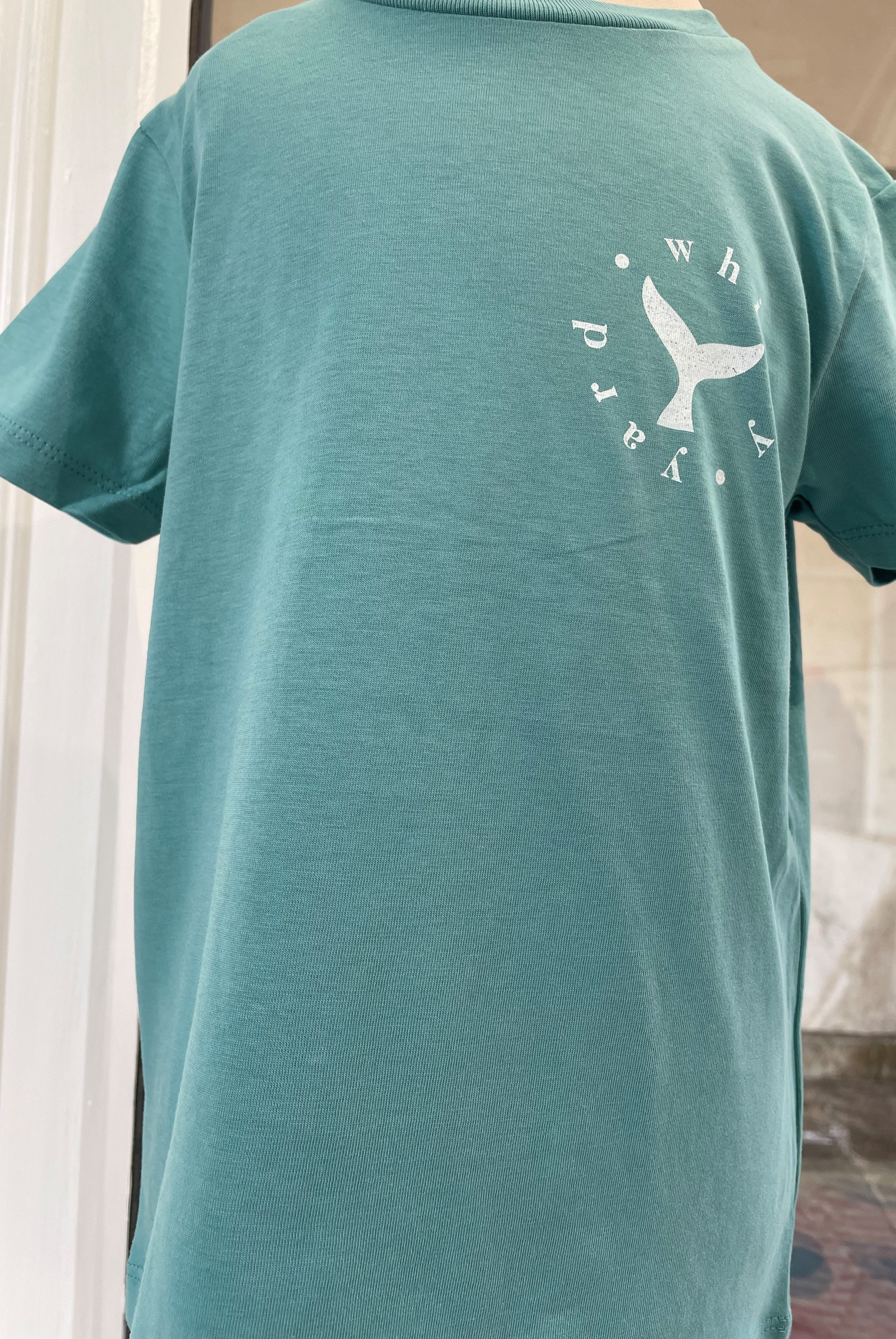 Childrens Saltburn Surfboard T Shirt in Teal